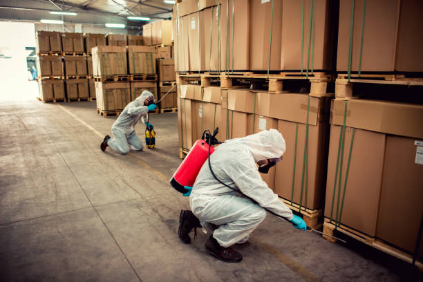 Wildlife Control Services in Schenectady, NY