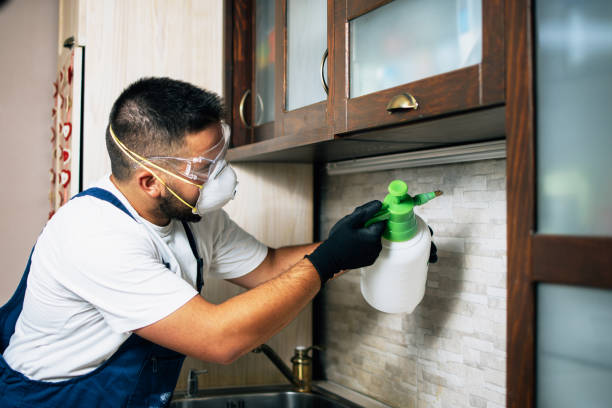 Best Spider Control Near Me  in Schenectady, NY