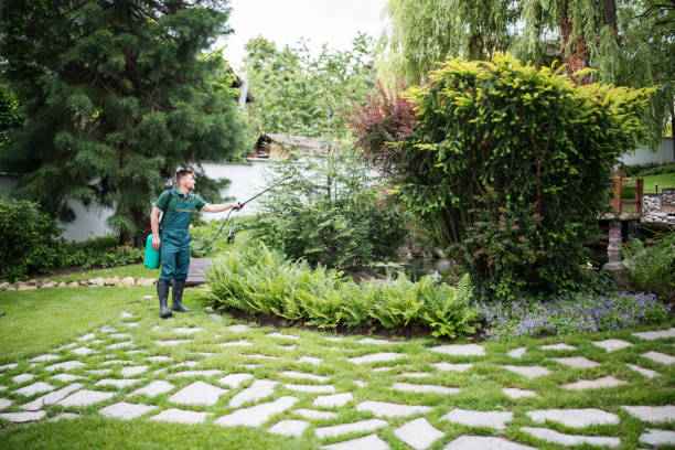 Best Local Pest Control Services  in Schenectady, NY