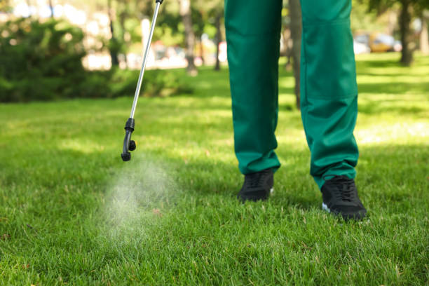 Best Wasp Removal Services  in Schenectady, NY