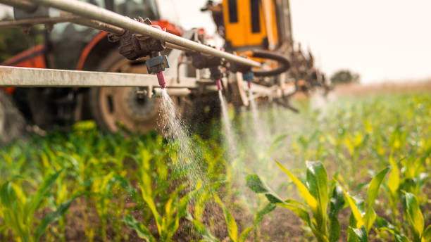 Pest Prevention Services in Schenectady, NY