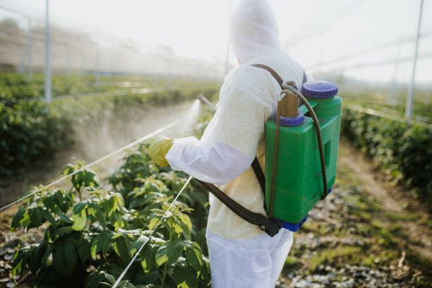Best Pest Control Near Me in Schenectady, NY